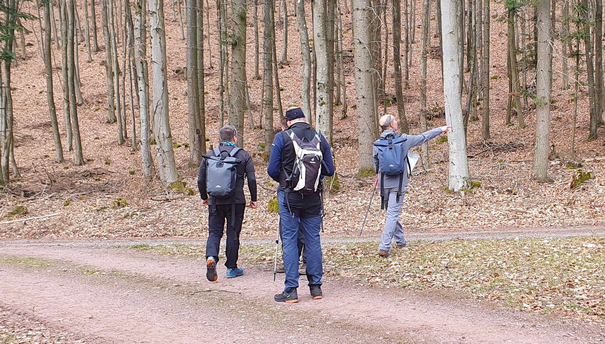 Orientierungslauf Orientierungslauf